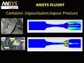 CFD ANSYS Fluent Simulation Cavitation effect Multiphase Mixture Simulation