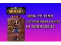 Where is Leatherworker Trainer in Darnassus How to Get Leatherworker Trainer in Darnassus