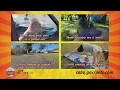 Albuquerque Animal Welfare reminds public to keep pets safe when temperatures rise