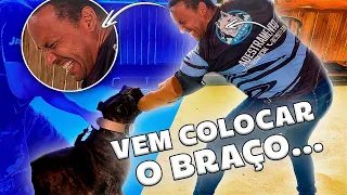 Vem colocar o braço? Duvido alguém com coragem ☠️☠️☠️