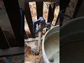 How a yard hydrant works