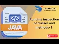Runtime Inspection of Classes and Methods in Java Reflection Example Java - Chapter 12