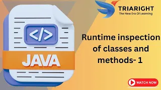 Runtime Inspection of Classes and Methods in Java Reflection Example Java - Chapter 12