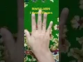 Lagu Bimsalabin l Have 4 Fingers #hand #fingerstyle #shorts