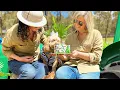 Download Lagu Small Dog Day at the Farm
