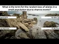 Evolution Quiz That Will Make You Ready for Your Next Biology Exam