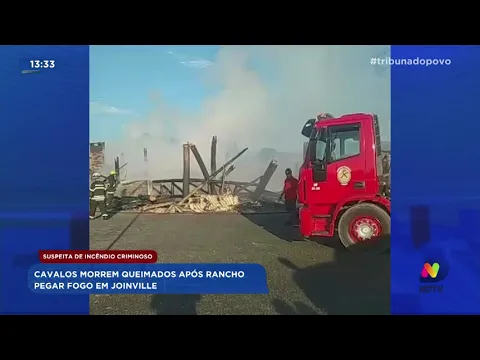 Suspeita de incêndio criminoso: cavalos morrem queimados após rancho pegar fogo em Joinville