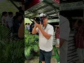 Download Lagu Caught in Slow Motion with Iphone15 Promax: Random Street Photography with Panasonic Lumix G85 📸✨