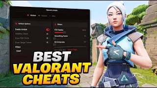 I Used VALORANT CHEATS To Dominate High Elo Lobbies
