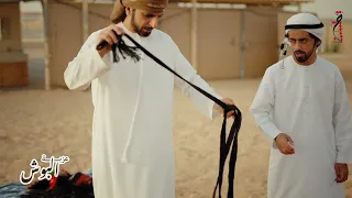 عزبة البوش   تركيب الشداد دندنها