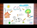 How To Draw Carbon Cycle step by step tutorial