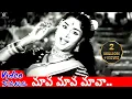 Download Lagu MAVA MAVA MAVA ALL TIME TREND SETTER FOLK SONG OLD | MANCHI MANASULU MOIVE | GHANTASALA, JAMUNA RANI