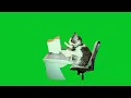 Cat typing Green Screen Link In Description