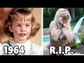 Bewitched 1964 1972 Cast Then and Now Tragic Accidents and Their Net Worth in 2025