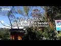 Download Lagu Usah Kau Lara Sendiri - Katon Bagaskara The Gendhot Pengamen Dieng Telaga Warna Wonosobo (Cover)