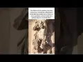 Download Lagu A centaur was a creature from Greek mythology which was half man and half horse. #shorts