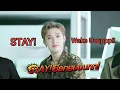 Lagu [ENG SUB] Stray Kids Interview QnA Full |Tokopedia