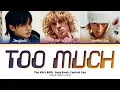 Download Lagu The Kid LAROI, Jung Kook, Central Cee 'TOO MUCH' Lyrics (Color Coded Lyrics)