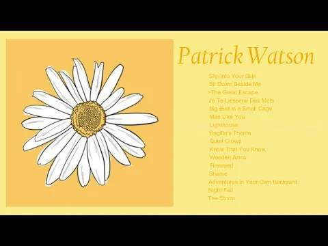 Download MP3 a Patrick Watson playlist because they're underrated