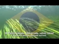 Download Lagu National Anthem: Brazil - Hino Nacional Brasileiro