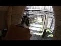 Gun Closeup - Colt Python 357 Magnum