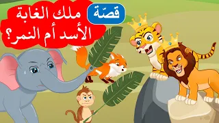 زاد الحكايا   قصص اطفال   ملك الغابة   الأسد أم النمر دندنها