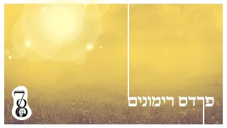 פרדס רימונים משפחת גלסר LIVE באולפן 