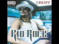 Picture (feat. Sheryl Crow) - Kid Rock