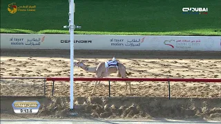 بث مباشر إيذاع للقبائل المرموم 09 11 2025 صباحا 20 شوطا 6 كلم 