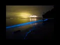 Lucette Bourdin - The Luminous Ocean