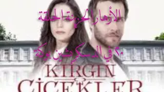 مسلسل الأزهار الحزينة Kırgın Çiçekler الحلقة 20 مترجم للعربية 