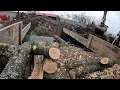 So you want to start a tree service business