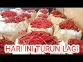 Lagu SIANG INI CABAI KERITING KOL MEDAN TOMAT TURUN LAGI‼️#pasarinduktanahtinggitangerang 