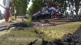                      دندنها