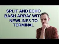 Unix split and echo bash array with newlines to terminal