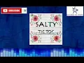 SALTY - TIC TOC (audio)