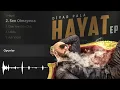Diyar Pala - Sen Olmayınca