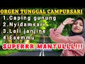 Lagu Dangdut Orgen tunggal Lagu campursari paling enak didengarkan