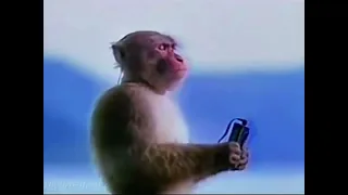 انقر انقر لابوبو Shortvideo Shorts 