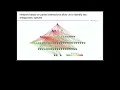 Genomic profiling of bacteria for the prediction of synthetic - Marisol Navarro-Miranda