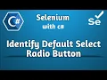 Mastering Selenium and C Unveiling Secrets to Identify Default Selected Radio Button
