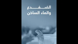 الــضــفــدع والــمــاء الــســاخــن NTV 
