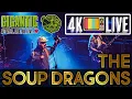 Download Lagu The Soup Dragons - Divine thing, live 4k Bristol 2025