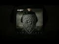 Download Lagu Skillet - Reach [Custom Instrumental]