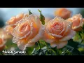 Download Lagu Красивая мелодия до слез🌺Музыка для души🌿Великолепная музыка Сергея Грищука #28