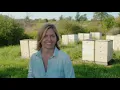 Great Lakes Bee Co has been making sweet Michigan honey since 1974