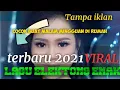 Lagu dangdut electone paling di cari buat goyang cocok buat malam Minggu Di Rumah