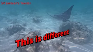 Episode 32  Antigua Part 3