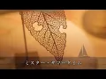 Mr. サマータイム 　   サーカス