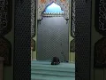 Download Lagu #islam #mosgue #namas #kurbanayt